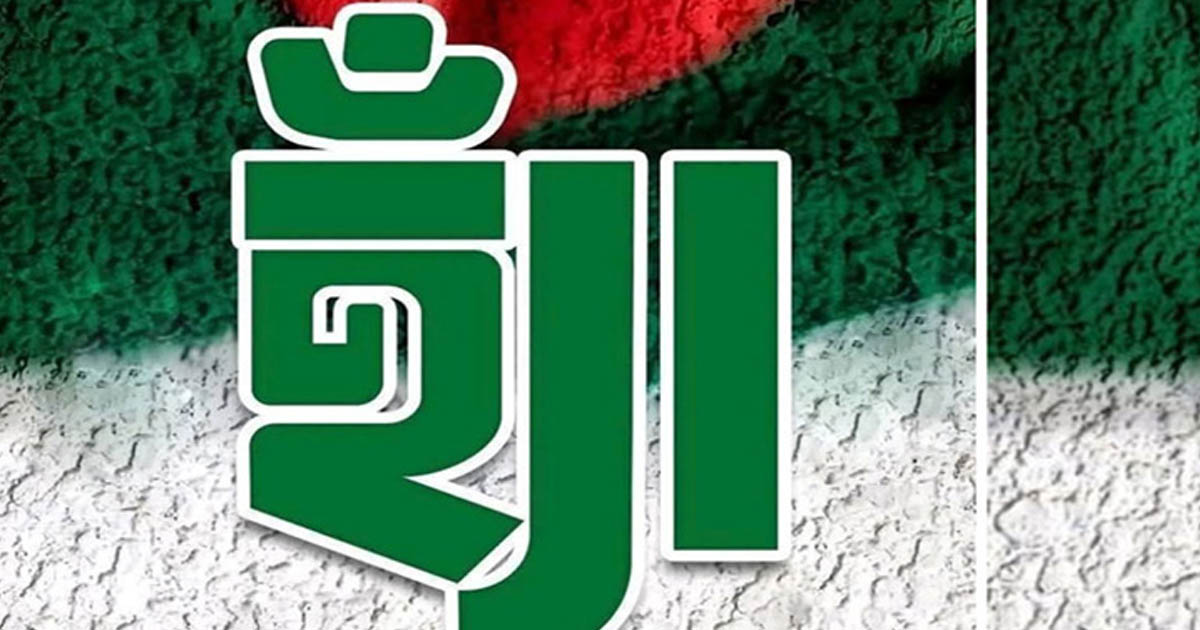 ‘হ্যাঁ’ গণভোটে জিতলে যা ঘটতে পারে!